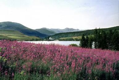 le lac de Gu&eacute;ry